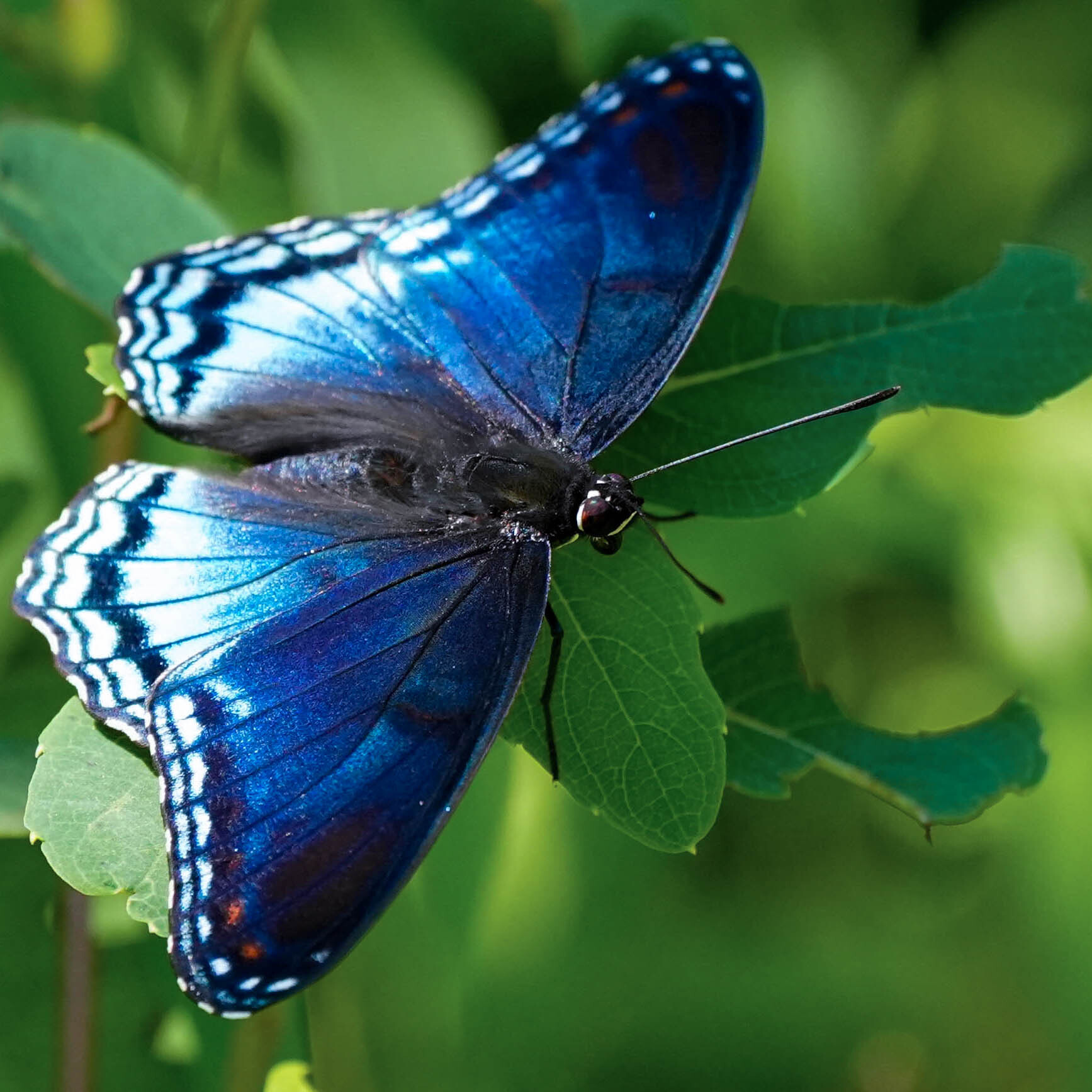 Sept 26, Oct 31, Nov 21 - Mindfulness in Nature - 3 Part Class Series - logo